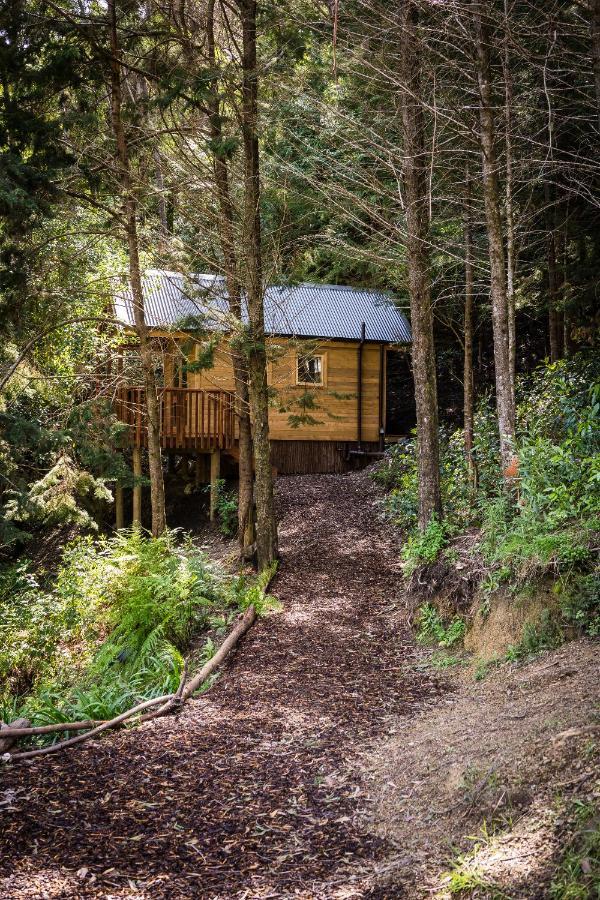 Maitai Whare Iti - Adventure Cabins & House Hotel Nelson Exterior photo